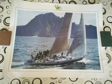 Gatorade regata intorno usato  Borgaro Torinese