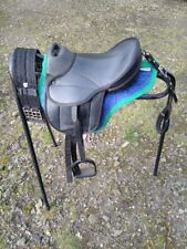 Mini shetland pony for sale  HALSTEAD