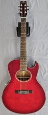 1989 washburn woodstock for sale  Muscatine