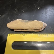 prehistoric fossil rock for sale prehistoric fossil rock for sale Terre Haute