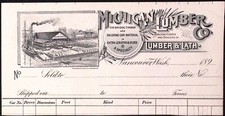 1899 michigan lumber for sale  Moneta
