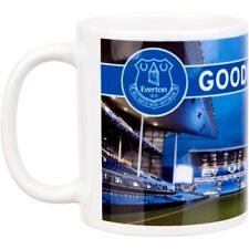 Everton panoramic stadium for sale  MANCHESTER