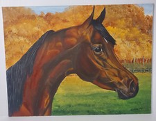 horse pasture horse boarding for sale horse pasture horse boarding for sale USA