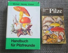 Michael hennig kreisel gebraucht kaufen  Doberlug-Kirchhain