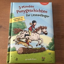Minuten ponygeschichten lesean gebraucht kaufen  Bad Hersfeld