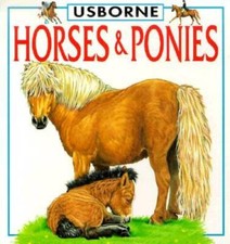 Horses ponies board for sale  Montgomery