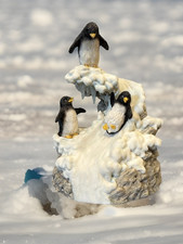 Westland penguin musical for sale  Franklin