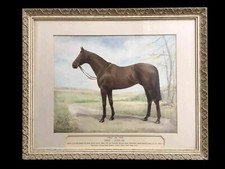 Vintage racehorse watercolour for sale  BURFORD