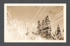 telephone poles power poles for sale  Haiku
