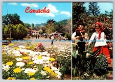 Camacha D316974. Madeira. Place Conselheiro Aires D Ornelas. Correios PM. 1974. comprar usado  Enviando para Brazil
