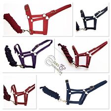 Headcollar leadrope set for sale  USK