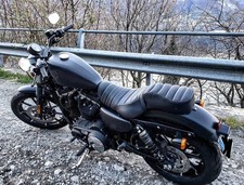 883 sportster usato  Dubino