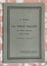 Memoria giulio galluzzi usato  Viadana