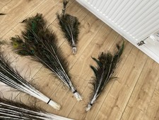 Peacock feathers for sale  UK