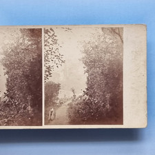 Stereoview card real for sale  TELFORD