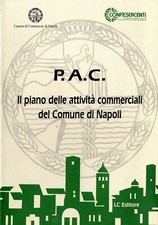 Piano delle attività usato  Napoli