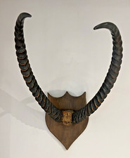 Antique lechwe african for sale  HOPE VALLEY