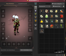Dofus kamas serveur d'occasion  Pierre-Bénite