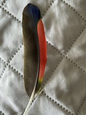 Amazon parrot feather for sale  Fullerton