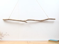 Treibholz ast 122cm gebraucht kaufen  Bad Schandau