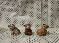 Thun club cucciolo usato Thun club cucciolo usato  Spresiano