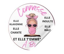 Stickers voiture connasse d'occasion  Saint-Martin-des-Besaces