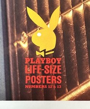 Pôster tamanho real revista Playboy 12 e 13 Lisa Matthews + 200 dobras centrais do mundo comprar usado  Enviando para Brazil