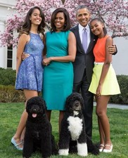 barack obama picture for sale barack obama picture for sale Victoria
