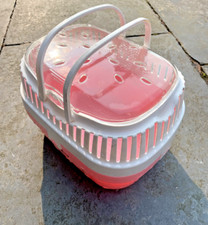 Small ferblast pet for sale  HUDDERSFIELD