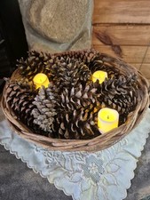 Pine cones crafting for sale  Oxford