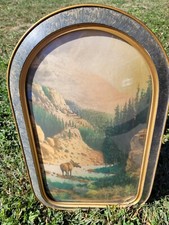 Vintage hand tinted for sale  Oak Grove