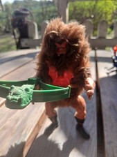 Masters the universe gebraucht kaufen  Uslar