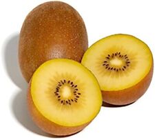 Sungold golden kiwi for sale  Melbourne