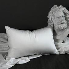 Premium white pillow for sale  Ashford