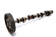 Golf nockenwelle motor gebraucht kaufen  Borgentreich