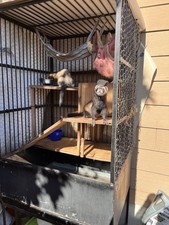 Ferret cage for sale  Clackamas