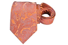 steve harvey ties for sale  Brownsville