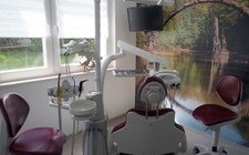 Kavo primus 1058 gebraucht kaufen  Bernsdorf
