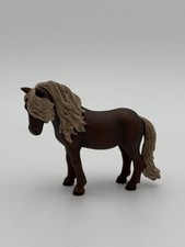 Brown american shetland for sale  Rocklin
