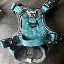 Twiggy tags adventure for sale  PETERBOROUGH