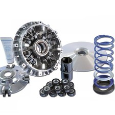 Variatore polini evolution usato  Italia