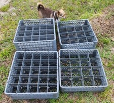 Commercial dishwasher trays for sale  Lake Wales