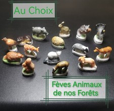Choix fèves atlas d'occasion  Nouaillé-Maupertuis