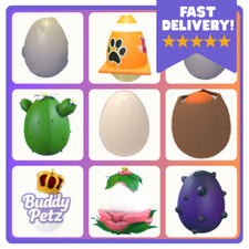 Adopt eggs fast d'occasion  Expédié en Belgium