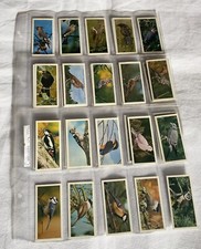 Cigarette cards carreras for sale  CARLUKE