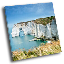 Blue seaside cliffs for sale  STRABANE