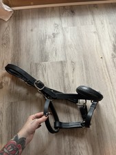 leather halters for sale leather halters for sale North Andover