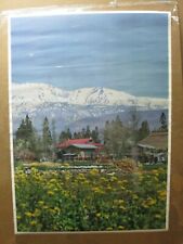 Poster vintage 1970 for sale  Covina