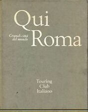 Grandi citta del usato  Zerbolo