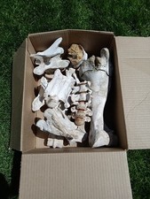 Box bones wild for sale  Richland
